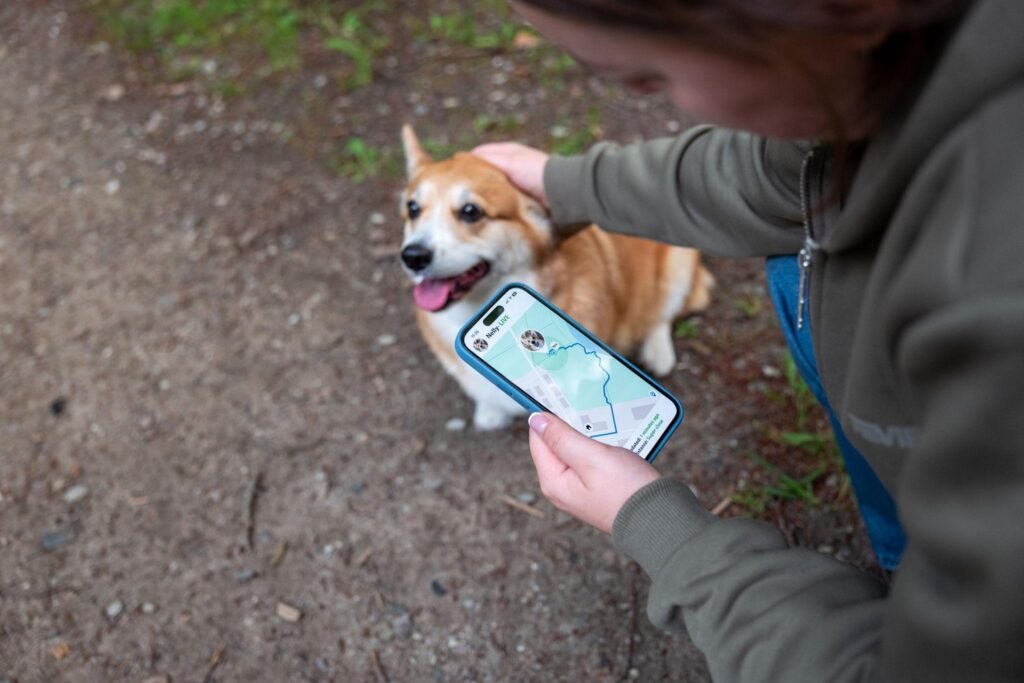 India Pet Wearables Market Survey Report 2026