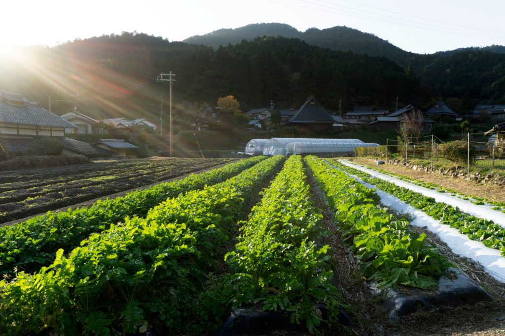 Japan agricultural microbial market outlook to