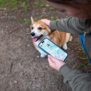 India Pet Wearables Market Survey Report 2026