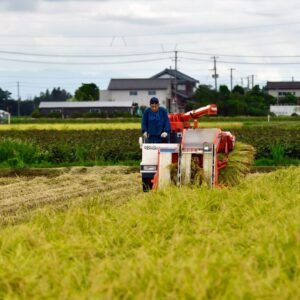 Japan Agricultural Microbial Market Outlook to 2033