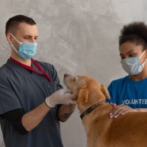 GCC Pet Insurance & Veterinary Spending Survey 2026